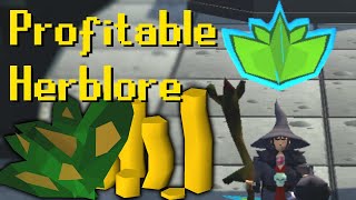 The Fastest Profitable Herblore Method Degrime [upl. by Allerie553]