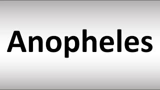 How to Pronounce Anopheles [upl. by Homovec]