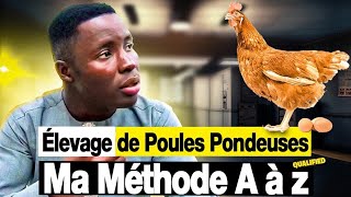 Aviculture  Élevage des poules pondeuses En Afrique  MA MÉTHODE A à Z [upl. by Ellered]