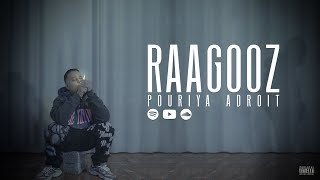 Pouriya Adroit  Raagooz Official Music Video [upl. by Anirb]