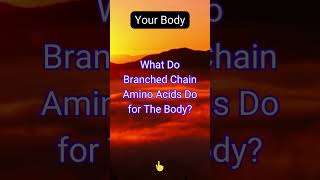 What Do BranchedChain Amino Acids Do for The Body [upl. by Mayer]