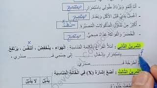 السنة الثانية ابتدائى حل اختبار في التربية العلمية النمودج 5 الفصل الأول الجيل الثانى [upl. by Adara51]