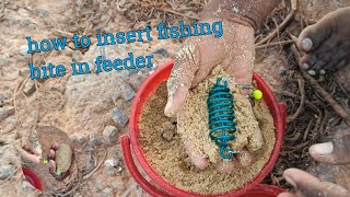 how to insert fishing bite in feeder  How to carp fishing fish [upl. by Ahsemot537]