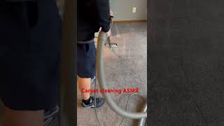 asmr carpetcleaning cleaningcarpet cleantok columbus columbusohio petstain [upl. by Stirling]