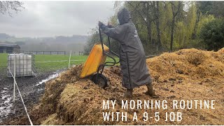 Yard morning routine with a 95 job  with a horse on DIY livery [upl. by Marcy567]