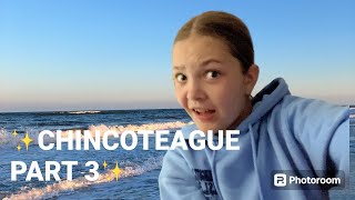 ✨CHINCOTEAGUE✨ PART 3 [upl. by Southworth]