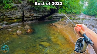 THE BEST FLY FISHING  TROUT FISHING VIDEO Best of Compilation  2022 [upl. by Farmer]