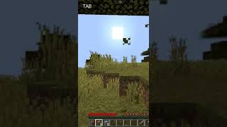 pc game Java games Minecraft [upl. by Semaj992]