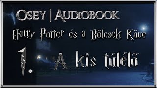 Harry Potter és a Bölcsek Köve hangoskönyv  1 fejezet [upl. by Nero]