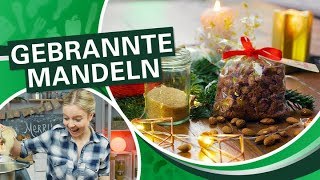 Weihnachstmarkt 🎄 gebrannte Mandeln schnell zu Hause selber machen I Einfach Thermomix [upl. by Palma]