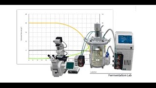 Labster Virtual Lab Fermentation Simulation [upl. by Jeremy]