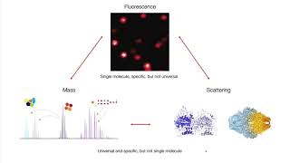 Webinar Measuring Molecules with Light  Prof Philipp Kukura University of Oxford [upl. by Haney185]