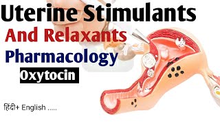 Uterine Stimulants and Relaxants ।। Oxytocin Pharmacology।। Bpharm D pharm।। Pharmacy lecture [upl. by Cilegna]