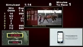 Hipodromo Camarero Live Stream [upl. by Fayette]