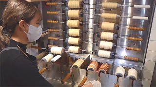 굴뚝빵 Best dessert Making Various Kinds of Chimney Cakes Trdelnik Trdlo  Korean street food [upl. by Nner]