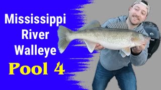 Spring Walleye River Fishing Pool 4Mississippi [upl. by Negam]