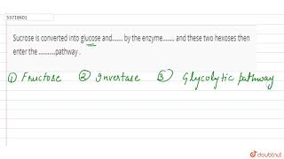 Sucrose is convertedinto glucose and by theenzyme andthese two hexoses thenenter [upl. by Ramahs86]