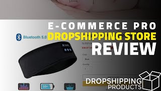 Dropshipping Store Reviewed By ECommerce Professional [upl. by Anaylil]