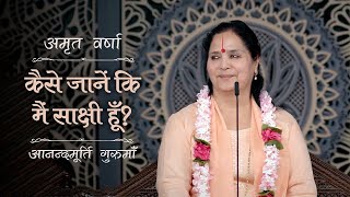 कैसे जानें कि मैं साक्षी हूँ  AV Epi 2394  Daily Satsang  7th September 2024  Anandmurti G [upl. by Eletnahs]