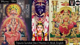 Dasha MahaVidya  Tripura Sundari DeviShodashi deviRajarajeshwari devi Mantra [upl. by Litt177]