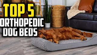 ✅Best Orthopedic Dog Beds in 2024 [upl. by Othella]