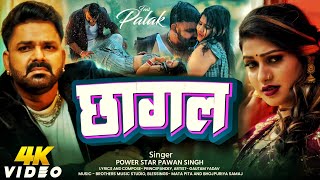 Video  Chhagal  Pawan Singh  New Bhojpuri Song 2024 [upl. by Sholley]