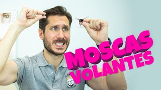 🚀 MOSCAS VOLANTES ¿CÓMO ELIMINARLAS [upl. by Hamon]