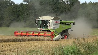 Weizen 2024 LU Norbert Mäser Claas Lexion 760 mit Vario 930 Schneidwerk bei Nidda im Einsatz [upl. by Goggin]