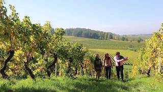 Cette année destination la Dordogne Périgord [upl. by Toille]