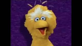 Sesame Street Toodle LooFunding Credits achumiforbuddies [upl. by Delamare]