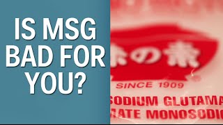 Is MSG Bad For You [upl. by Anivahs]