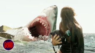 Nancy Races Shark For GoPro  Shallows  Now Scaring [upl. by Esialb691]