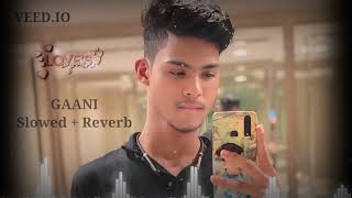 Gani song  slowed  reverb pirukhan 7 MusicTarangMusicOdisha RaniChahal tseries [upl. by Oiredised]