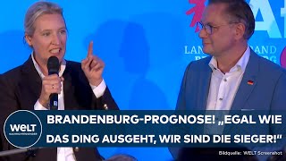 LANDTAGSWAHL IN BRANDENBURG AFD Trotz Platz 2  Chrupalla und Weidel feiern Hochrechnung [upl. by Dino258]