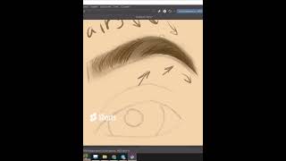 drawing bushy eyebrows digital tutorial [upl. by Ellehcor]