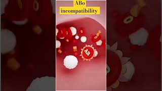 ABO incompatibility science amazingfacts interestingfacts [upl. by Annauqaj250]