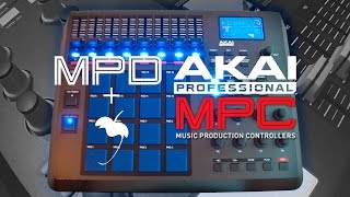 Делаем AKAI MPC из AKAI MPD [upl. by Litton]