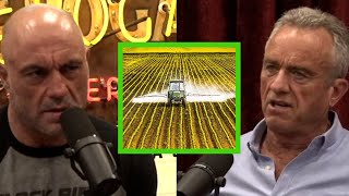 Robert Kennedy Jr On Suing Monsanto and The Dangers of RoundUp [upl. by Shauna486]