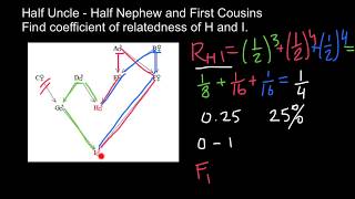 How to Find Relatedness and Inbreeding Coefficient practice problem [upl. by Enilrek]