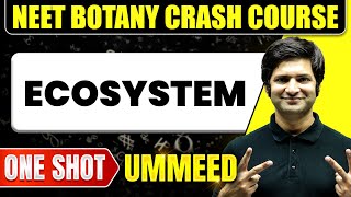 ECOSYSTEM in 1 Shot All Concepts Tricks amp PYQs  NEET Crash Course  Ummeed [upl. by Yrebmik]