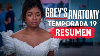 GREYS ANATOMY Temporada 19 RESUMEN EN 1 VIDEO [upl. by Navada]