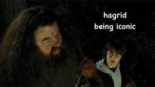 rubeus hagrid being iconic [upl. by Masao]