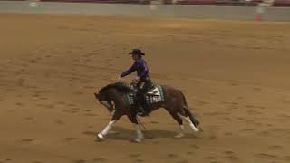 FL Classic OPEN DERBY Matt Palmer And Spark Dunit Again [upl. by Eleira413]