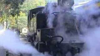 Australian steam locomotives action at the depot [upl. by Atirahs]