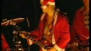 die toten hosen weihnachtsmann vom dach [upl. by Hamer650]