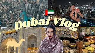 DUBAI VLOG  BIRTHDAY 🇦🇪❤️ Katerina Visseri [upl. by Nonnahc]