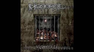 Disgorge Mex  Necrholocaust Full Album [upl. by Kahlil354]