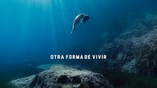 BSO quotOtra forma de vivirquot Estrella Damm 2019 [upl. by Brazee]