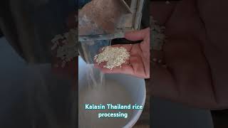 Rice processing Farm in Kalasin Thailand kalasin rice thaiadventures [upl. by Dibri]