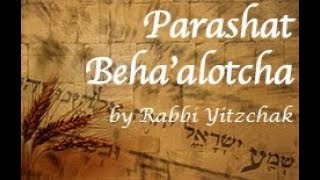 36  Torah Parashah Behaalotcha In your Uplifting [upl. by Hiamerej]